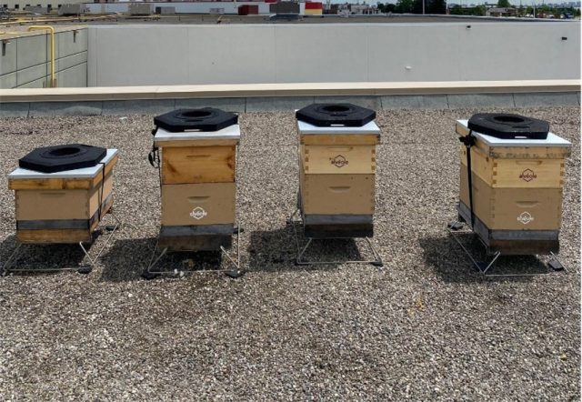 Bee Hives