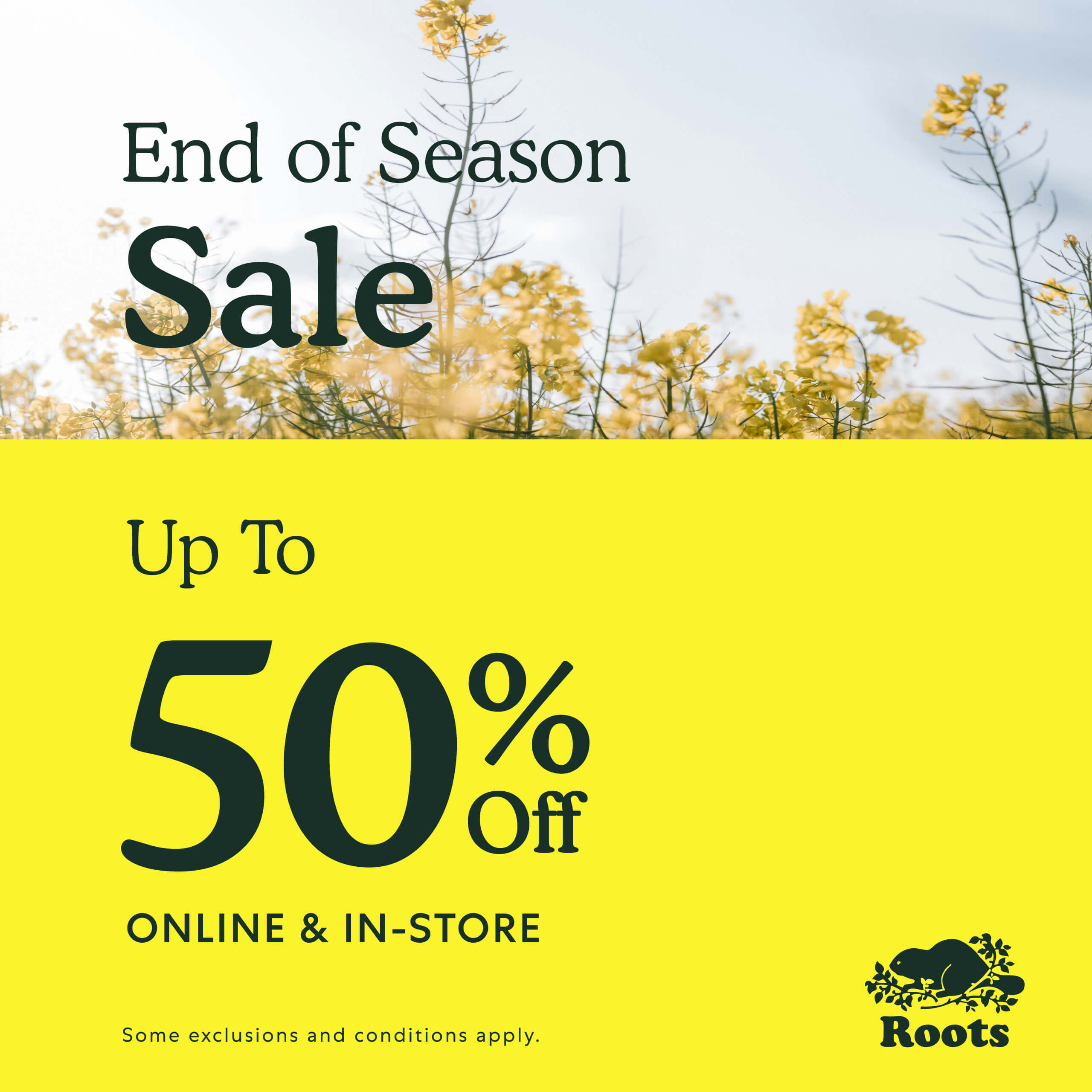 Roots – Summer Sale icon