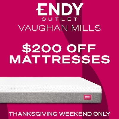 Thanksgiving Weekend Sale icon